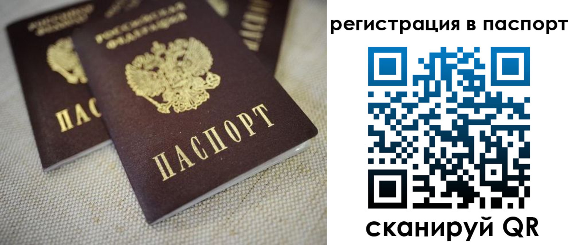 прописка гарантия в Беломорске